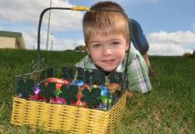 An eggcellent adventure