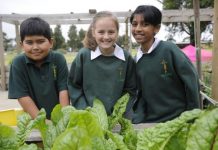 Food fixed from garden