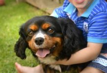 Tipper’s the king of the kids