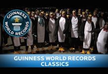 Penguins flock together