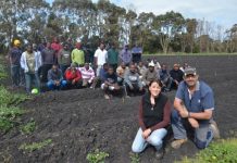 Pickers feel cyclone ripples