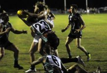 Cobras off and… clean running