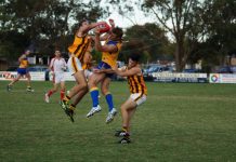 Bulls’ best yet to come