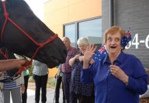 Horse therapy for elderly