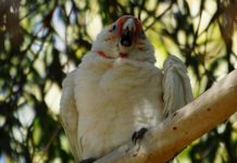 Nothing to say… gonna say it anyway