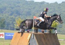 Champion horse riders