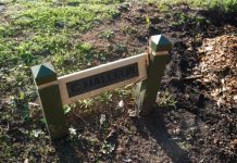 Council cuts down Anzacs