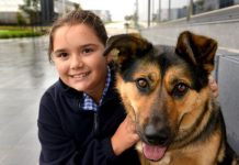 Chips down for registration