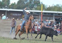 Atkins bags biggest prize