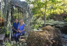 Last looks at wonder garden