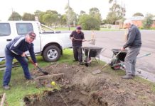 Honour for 40 Diggers