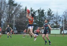 Cobras leave Crows standing