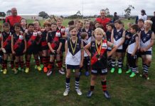 A hive of companionship