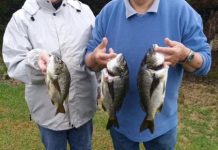 Breaming at the seams