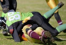 Silverbacks bounce back