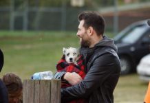 Warm dog… cold hands