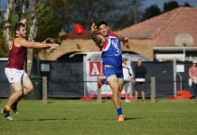 The pain and the glory