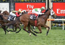 Speediness slows down