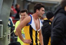 Fashionista to the Max