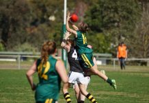 Flying home new colours