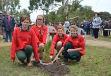 Memorial day shows growing awareness
