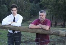 Dog pack kills sheep