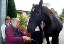 Warhorses visit the aged
