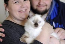 Kitty’s sitting pretty