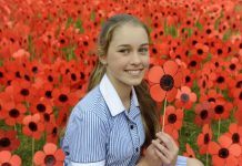 Dawns a sea of poppies