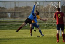 Cougars conquer Cardinals