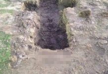 Oval rests in pieces