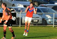 Tigers raise their Batt