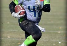 Silverbacks crash the party