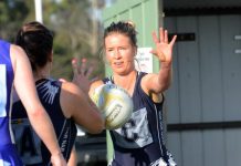 Tigers hold Cobras at bay