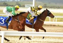 Track opens up to members.