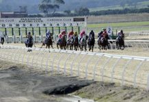 It’s fantastic on plastic