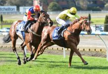 Prince continues the reign