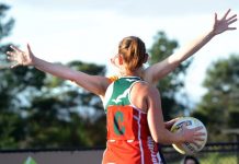 Spinning a web of intrigue