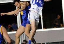 Fly Doves… or squab tonight