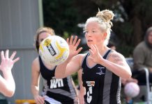 To snare a crafty bird