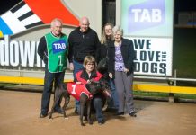 Peggy home in the city