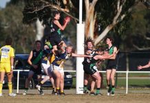 Now that’s a specci!