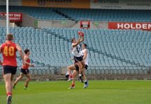 Barrel of Stingrays on a roll