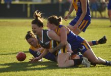 Eagles a Wildes’ creature