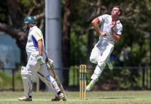 Panthers look to Hutchinson