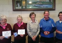 Old dogs take on young pups