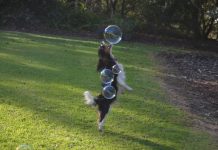 Spoilt Lexi raises spirits