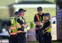 MP plans new terror laws