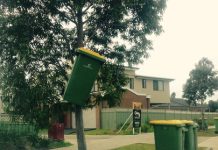 Bin decor or eyesore?