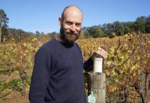 He’s the Gin Genie